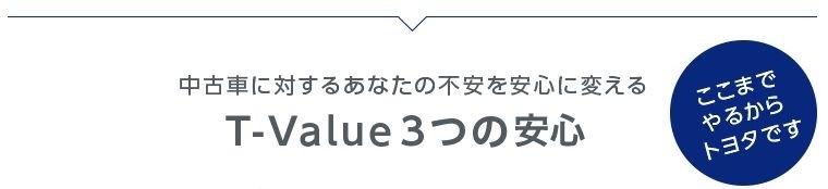 ここまでやるから