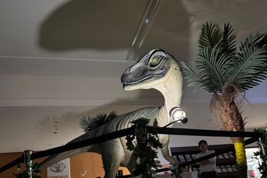 東光店感謝祭④