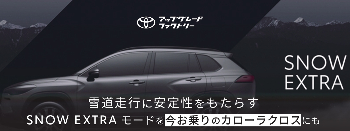 アップグレードカスタム