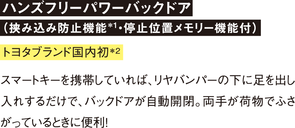 ハンズフリーパワーバックドア(挟み込み防止機能・停止位置メモリー機能付)